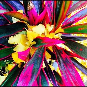 Meet your Posher, Meagin